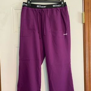 Grey's Anatomy Purple Scrub Pant size Medium